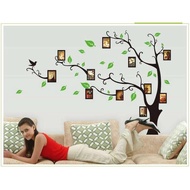 Tree photo wall sticker ay803