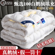 Duvet Thickened Warm Winter Duvet Core 95 White Velvet Hotel Single Duck Duvet Quilt Winter Spring A