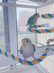 1入組撞色雙頭可彎曲螺絲頭鸚鵡支撐架桿攀登玩具,合適的適用於鳥,四季