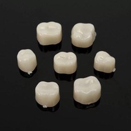 Gigi Palsu Gusi Penambal Gusi Bagian Bawah Gigi Gusi Teeth Crown