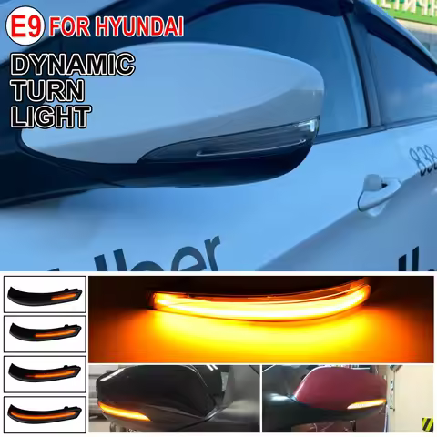 Dynamic Blinker Turn Signal Side Mirror Indicator LED Flashing for Hyundai Elantra Avante MK5 MD UD 