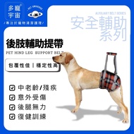 [More Pet Universe] Dog Auxiliary Belt/Pet Belt/Old Belt/Auxiliary Belt/Dog Auxiliary/Pet Auxiliary/