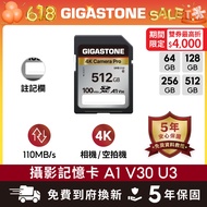 [GIGASTONE] 4K Photography Memory Card SD A1 V30 512G/256G/128G/64GB | Made in Taiwan/Monocular Came