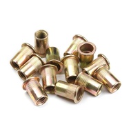 100pcs Rivet Nut M3 M4 M5 M6 M8 Carbon Steel 100 PCS - JR10