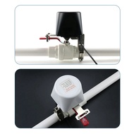 Electric Automatic Gas Pipeline Manipulator Valve DN15 DN20 DN25 for Gas Water Alarm 12V Shutoff Cut