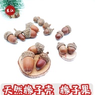 Sg Mori Series Natural Acorn Acorn Decoration Handmade Dried Flower Pendant Pine Dried Fruit Christm
