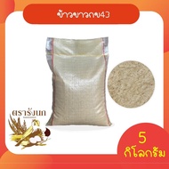 ข้าวขาวกข43 5 กก (กระสอบ)