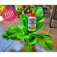 Baja Foliar Ikan Asli Pangkorian 350ml. Fish Amino Acid(FAA). 鱼肥水 Fish fertilizer