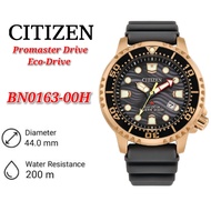 Citizen Promaster BN0163-00H Men's Rubber Eco-Drive Watch