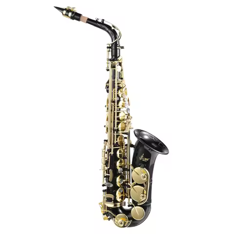 E Flat Alto Saxophone Alto Saxophone Brass Engraved Wind & Woodwinds Saxophones with Adjustable Stra