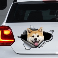 2021 Akita Inu car decal , Akita Inu car sticker, Akita Inu decal and magnet