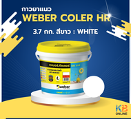 Weber color HR เวเบอร์ คัลเลอร์ เอช อาร์ | กาวยาแนวสระว่ายน้ำ สปา และซาวน่า | ขนาด 3.7 กก. | ขนาด 18