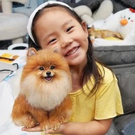 客製化逼真博美犬羊毛氈寵物娃娃定製複刻狗狗猫咪毛小孩公仔