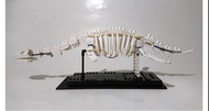 （可只買說明書）正版樂高自製蛇頸龍化石恐龍化石LEGO MOC（購買前請先私訊我，要先和您談過再麻煩您下單）
