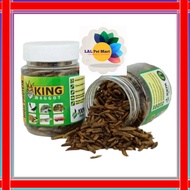 KING MAGGOT MAGOT KERING PAKAN BURUNG IKAN ARWANA CHANNA OSKAR KOI  DLL