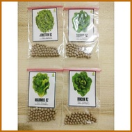 ┘ ◪ ◝ RIJK ZWAAN LETTUCE SEEDS 50 SEEDS PER PACK