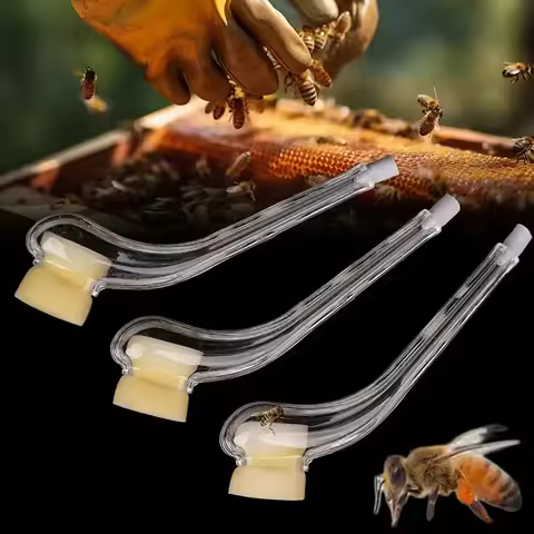2/6/10PCS Beekeeping King Bee Catcher Catching Queen Cage Device Catch King Apicultura Rearing Syste