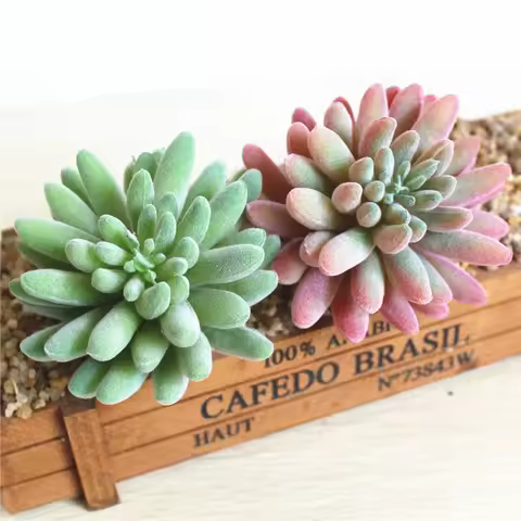 9x9cm Artificial Flower Succulent Plants Floral Arrangement Accessories Fake Plants Home Garden Wedd