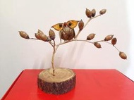 種子藝術創作：貓頭鷹＆種子樹擺件