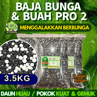 【Baja Berbunga&amp;Berbuah】Baja Bunga&amp;Buah Pro 2(3.5kg) Baja Super Mix /Baja Booster/Fertilizer开花结果肥