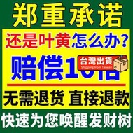 【樂樂屋】【花肥】發財樹營養液 【爆新芽】發財樹黃葉枯葉一噴綠壯苗生根免稀釋肥