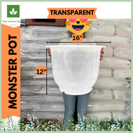 Elegant Large Pots for Plants Big Size Bigger Style Oversized Transparent, White, Black &amp; Terra Pots Big Size for plants