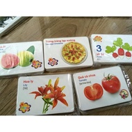 Set of 416 VIETNAMESE - ENGLISH Bilingual Smart Learning Cards for Children hk7