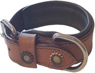 Leather Dog Collar in Western Design, Handmade, Trendy, Robust, Wide (XS 9-11 Inches)