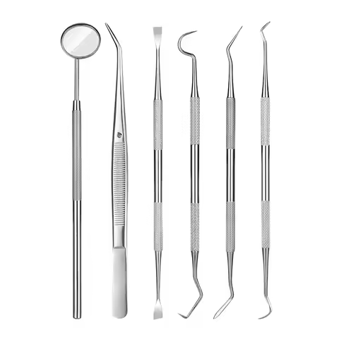 ELIJAH 1pcs Stainless Steel Dentist Clean Tools Dental Mirror Double Probe Sickle Hoe Tooth Cleaner 