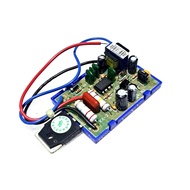 Gacun 21 Inch Regulator 21" TV Regulator 21in MK-21 - Electronic TV Regulator