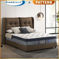 Dreamland Chiro Initial II Miracoil Spring USA 12 Inch Mattress Include Bedframe Set [100%Authentic]