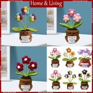 AOTO Sustainable Handmade Hanging Planter Crafting Set for Kids And Adults