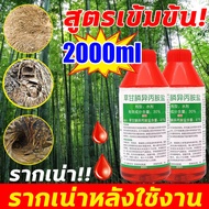 💥1หยดเดียวต้นไม่ใหญ่ก็ตาย💥 ยาฆ่าต้นไม้ใหญ เข้มข้นสุด1000ml 1ขว เท่ากับ50ขวด ยาฆ่าตอต้นไม้ ตรงไปที่รา