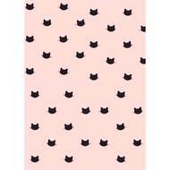 Kindle Inserts CATS 4