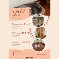 Cat Boarding Service Hotel House Accommodation Kucing