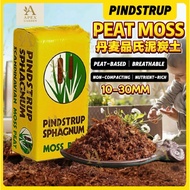 10-30mm【5L】品氏疏松透气泥炭土 | Pindstrup Loose and Breathable Peat Moss