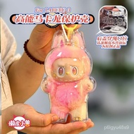 ️ Taiwan Shipment labubu Third Generation Protective Case Transparent Vinyl Bubble Mart Dust Cover F