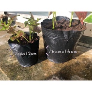 16x16 plastic pot 8pcs 8个16x16塑料盆 适合种植