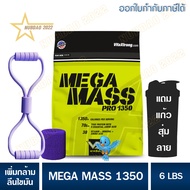 MEGA MASS 6 lb เมก้าแมส 6 ปอนด์ เวย์เพิ่มน้ำหนัก+เพิ่มกล้าม