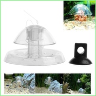 RAN Fish for Tank Clear Snail Catcher Fish  Leech Planarian Catch Box Set Clear Snail Catcher Aquarium Accessory