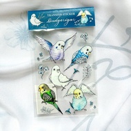 轉印貼紙 / 虎皮鸚鵡圖鑑水晶轉印貼紙