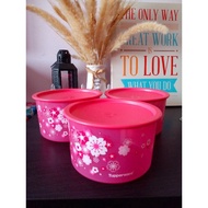 Tupperware Floral one touch