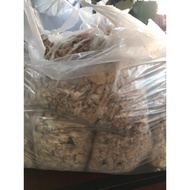 KULAT SISIR BORONG 10 KILO