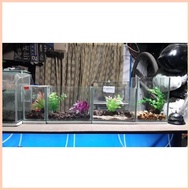 ♒ ☸ ♟ Glass Betta tank 4x4x6 , 4x6x8 , 8x4x6