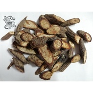 Akar Tengkuk Biawak Kering /Serbuk - 100gram
