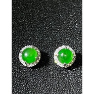 #J608 100% Natural Icy Jade Jadeite Silver Earrings H8.2m