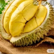 Durian Montong Thailand utuh per buah Berat-+3,2kg