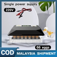 66/24 egg hatcher incubator penetas menetas Gam telur ayam automatic malaysia goose penetasan fuli A