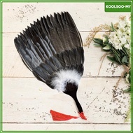 [KoolsooMY] Chinese Fan Chinese Ancient Fan Decoration Portable Versatile Collectible Fan