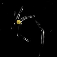 Paseris - Cazzy Women's Gold Plated Ring (Cap 875)